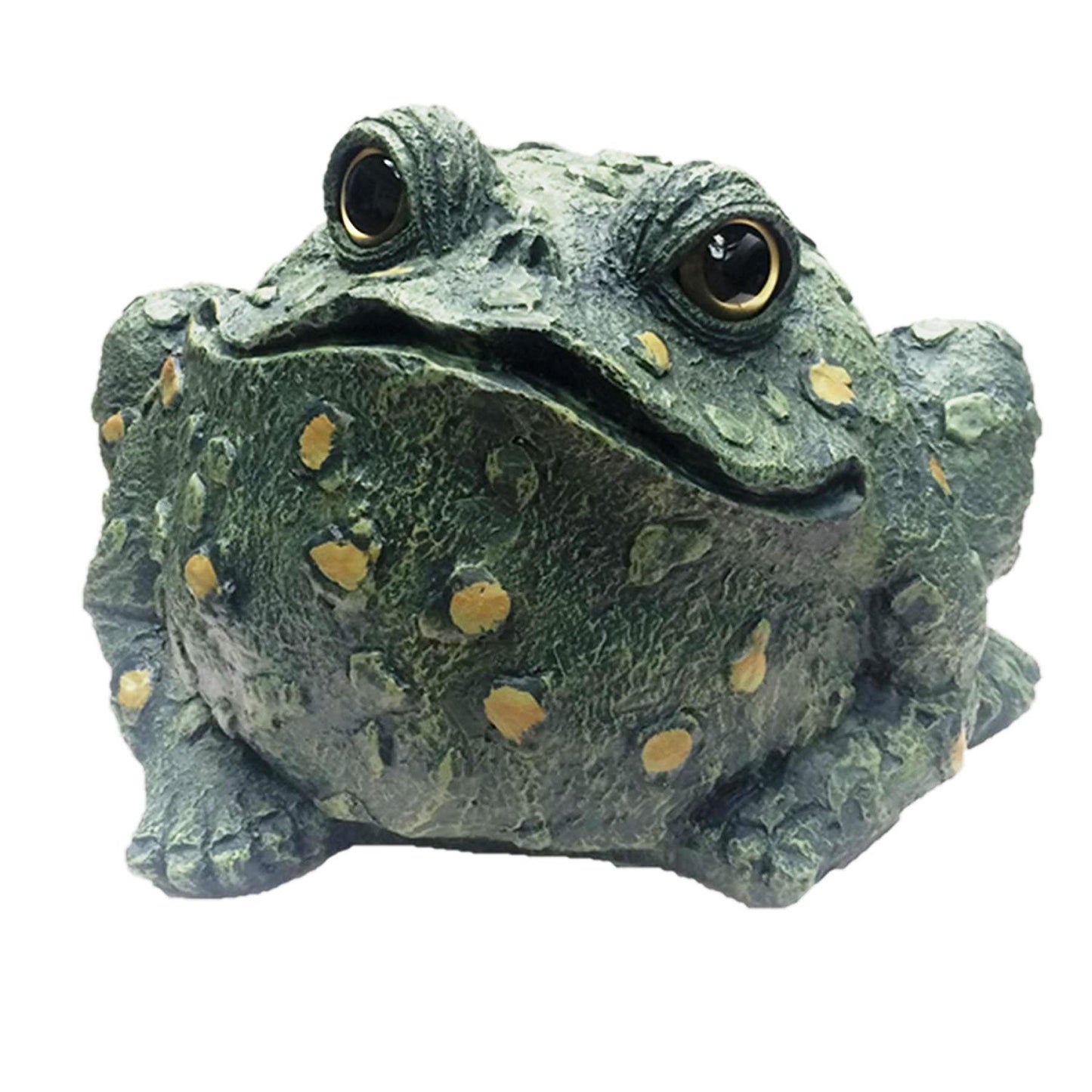 Toad